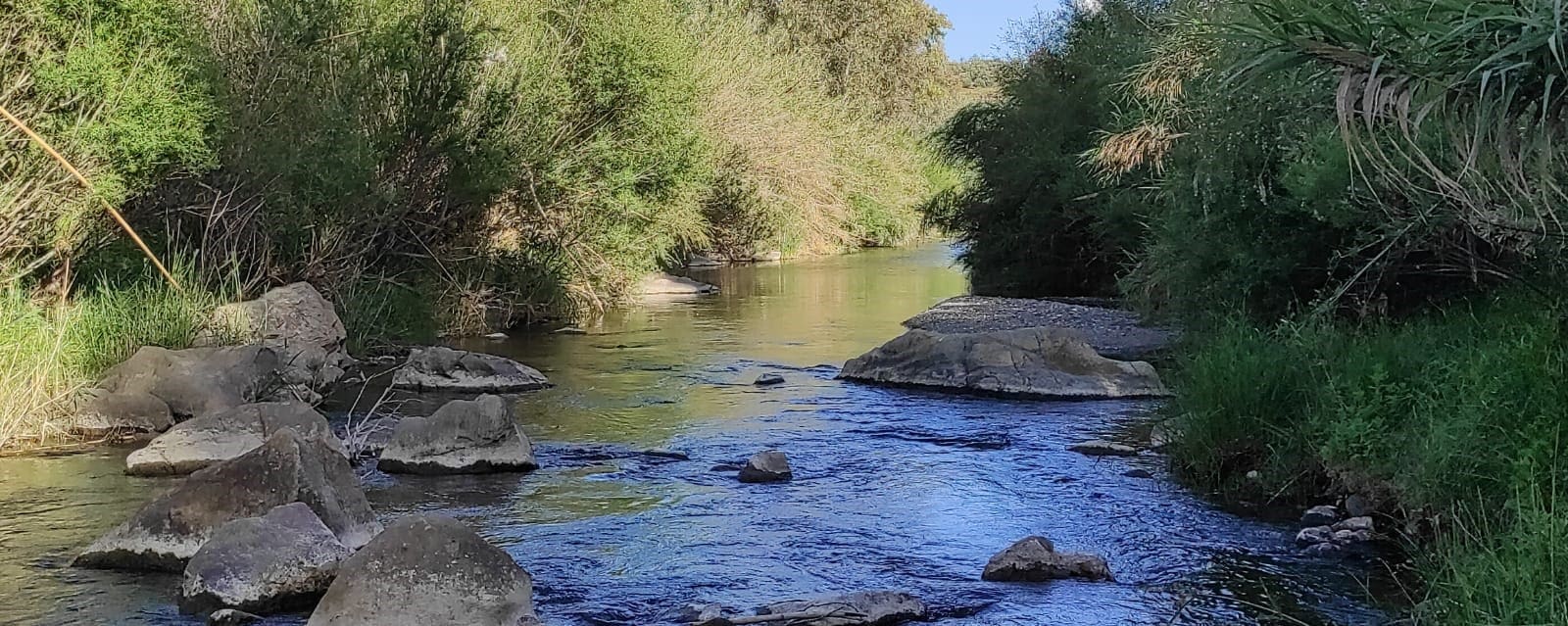 Finca/Landgut zu verkaufen in Marbella - 400.900 € (Ref: 9209019)