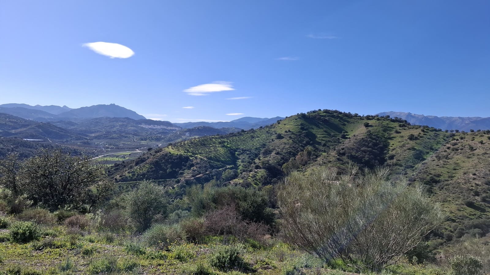 Finca/Landgut zu verkaufen in Marbella - 400.900 € (Ref: 9209019)