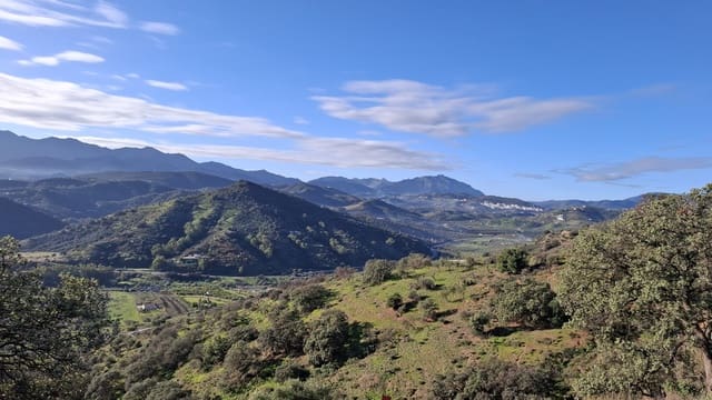 Finca/Landhuis te koop in Marbella - € 400.900 (Ref: 9209019)