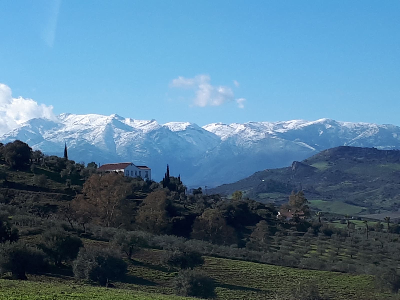 Finca/Landgut zu verkaufen in Marbella - 400.900 € (Ref: 9209019)