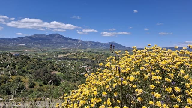 6 bedroom Finca/Country House for sale in Coín - € 905,290 (Ref: 9221551)