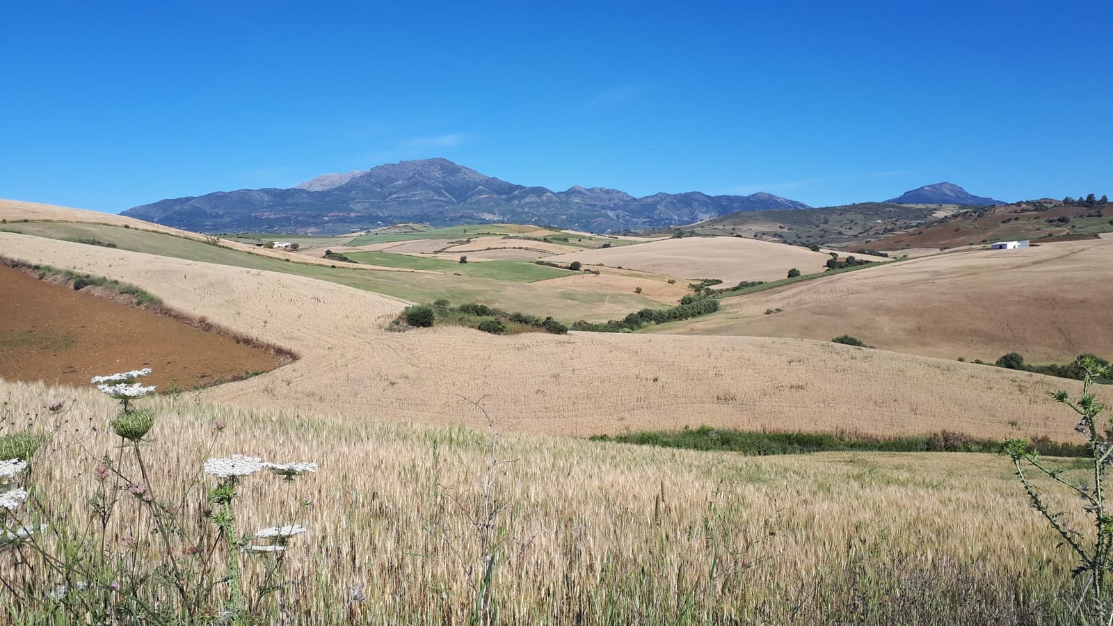 6 soverom Finca/Herregård til salgs i Coin - € 905 290 (Ref: 9221551)