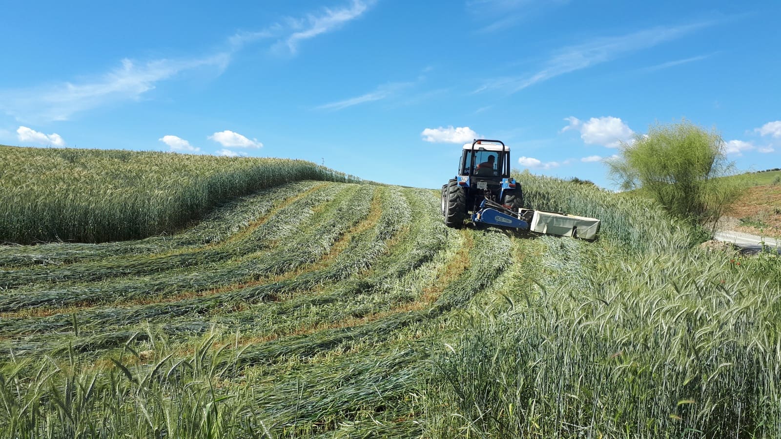 6 soverom Finca/Herregård til salgs i Coin - € 905 290 (Ref: 9221551)