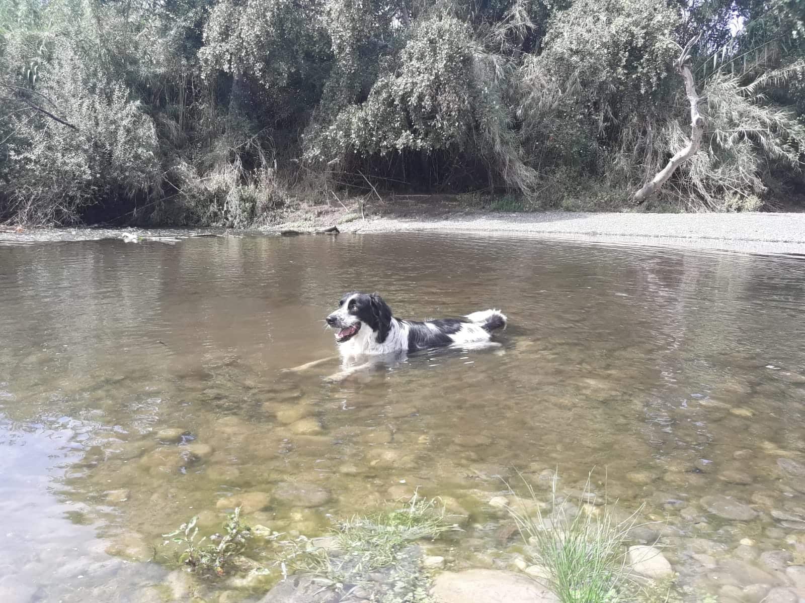 3 soveværelse Finca/Landehus til salg i Coin - € 349.400 (Ref: 9230665)