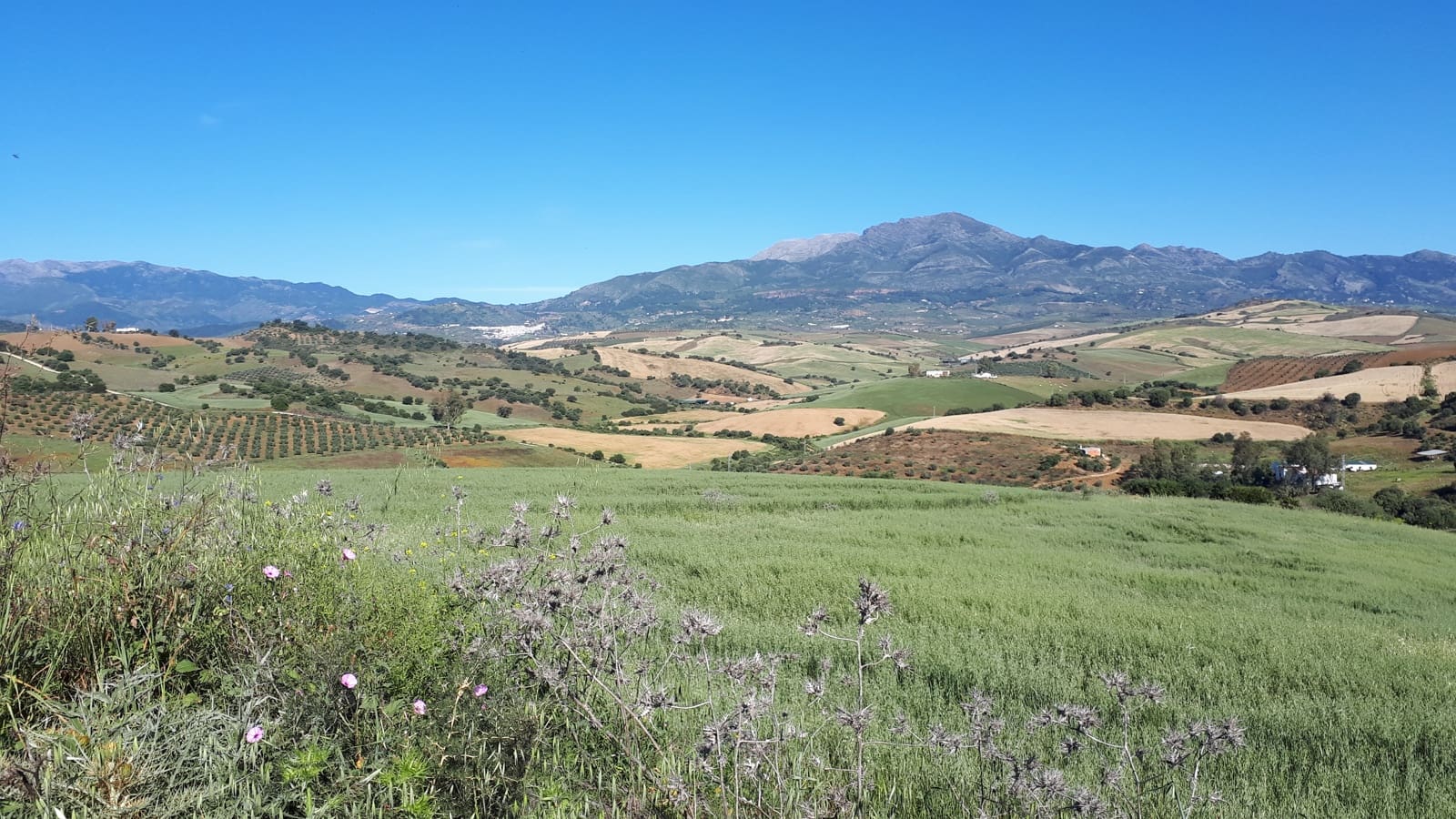 3 soveværelse Finca/Landehus til salg i Coin - € 349.400 (Ref: 9230665)