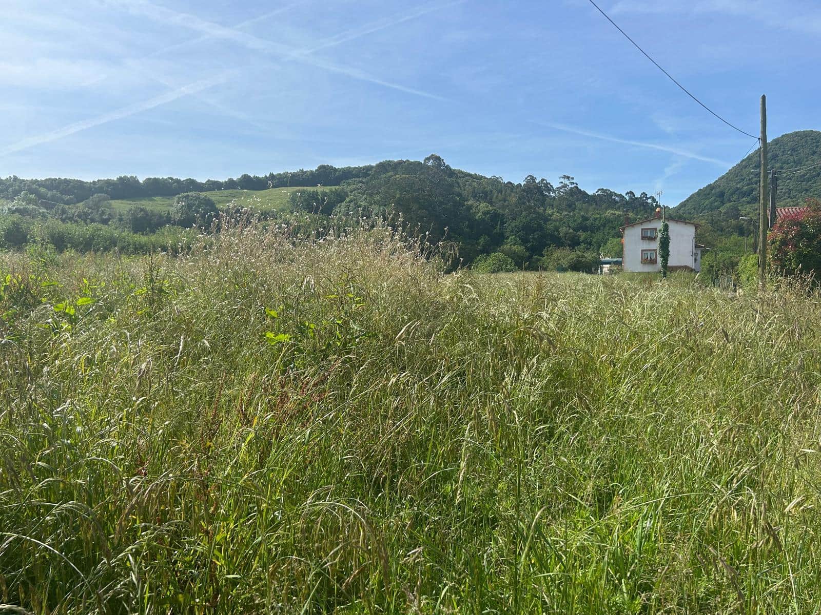 Terreno Não Urbanizado para venda em Laredo - 150 000 € (Ref: 9473284)