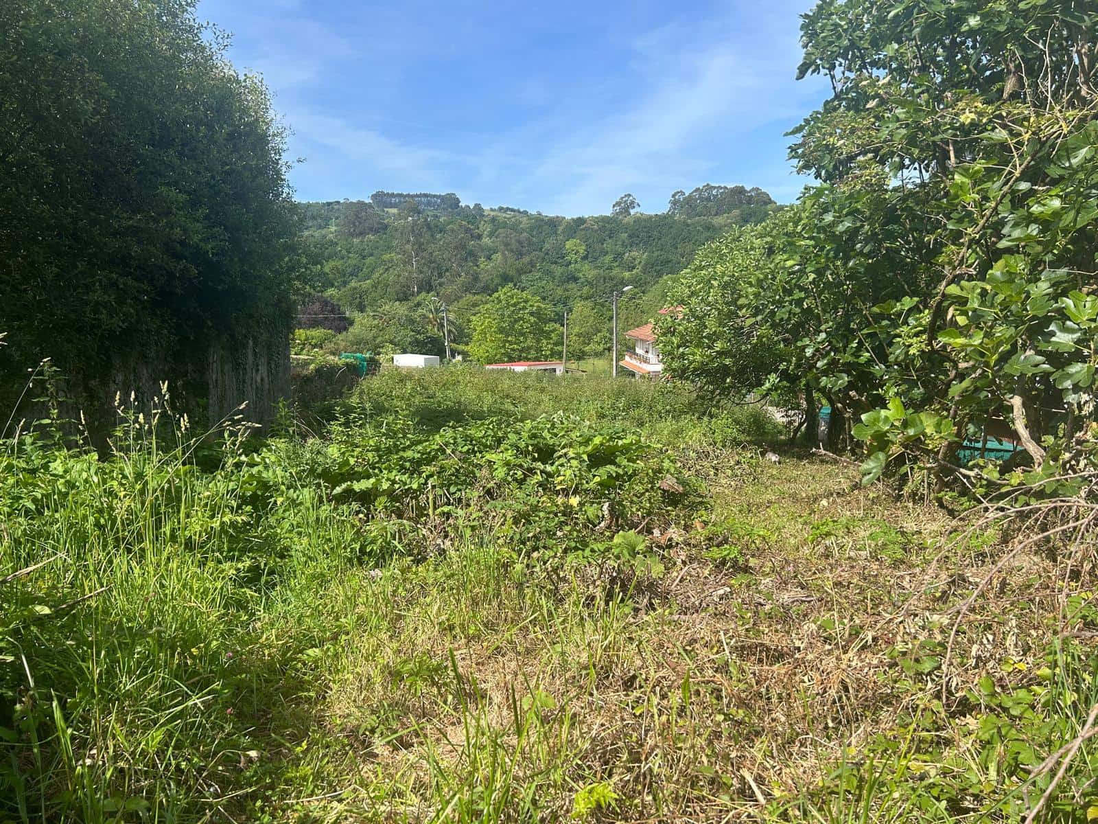 Terreno Não Urbanizado para venda em Laredo - 150 000 € (Ref: 9473284)