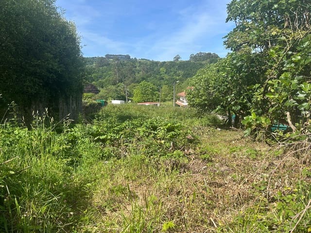 Terreno Não Urbanizado para venda em Laredo - 150 000 € (Ref: 9473284)