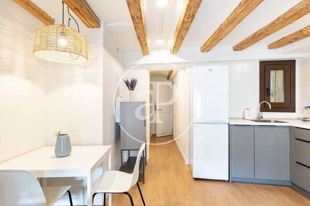 1 quarto Apartamento para venda em El Raval, Barcelona cidade - 215 000 € (Ref: 10020948)