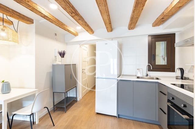 1 quarto Apartamento para venda em El Raval, Barcelona cidade - 215 000 € (Ref: 10020948)