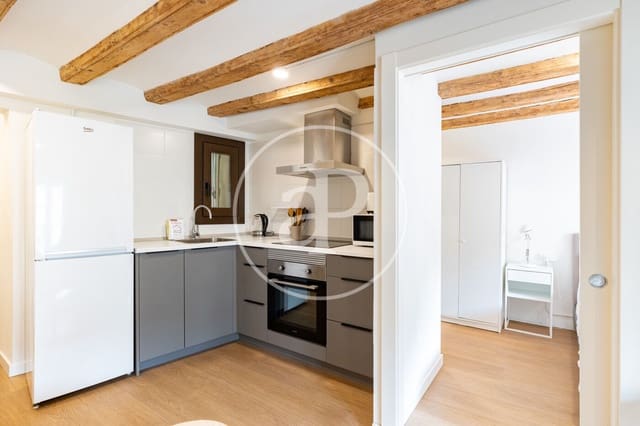 1 quarto Apartamento para venda em El Raval, Barcelona cidade - 215 000 € (Ref: 10020948)