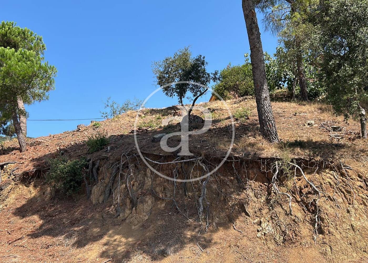 Terreno/Finca Rústica en Alella en venta - 380.000 € (Ref: 10078168)