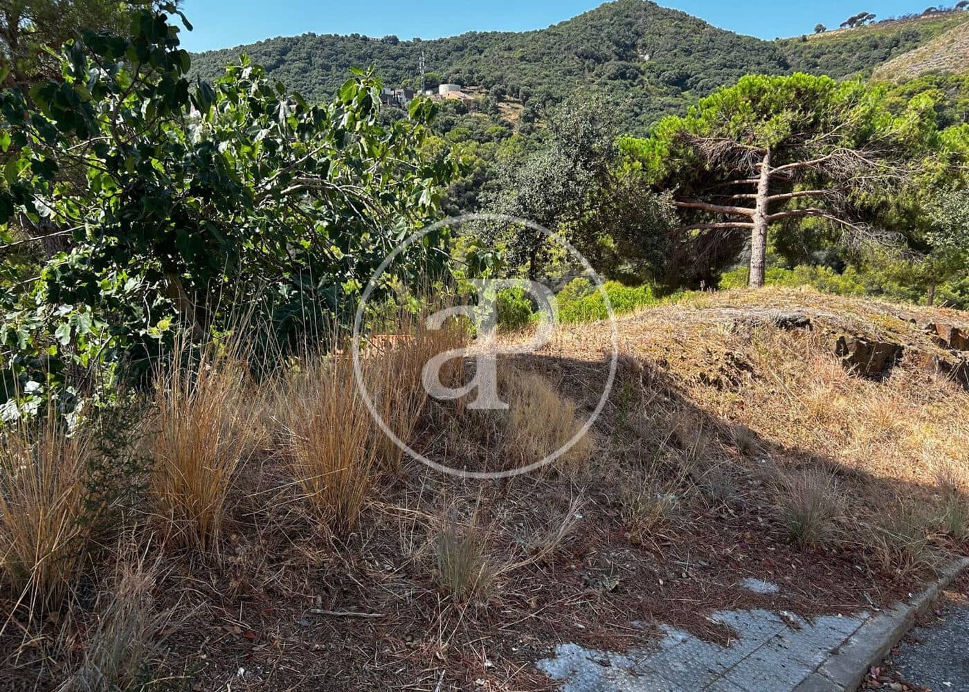 Terreno/Finca Rústica en Alella en venta - 380.000 € (Ref: 10078168)