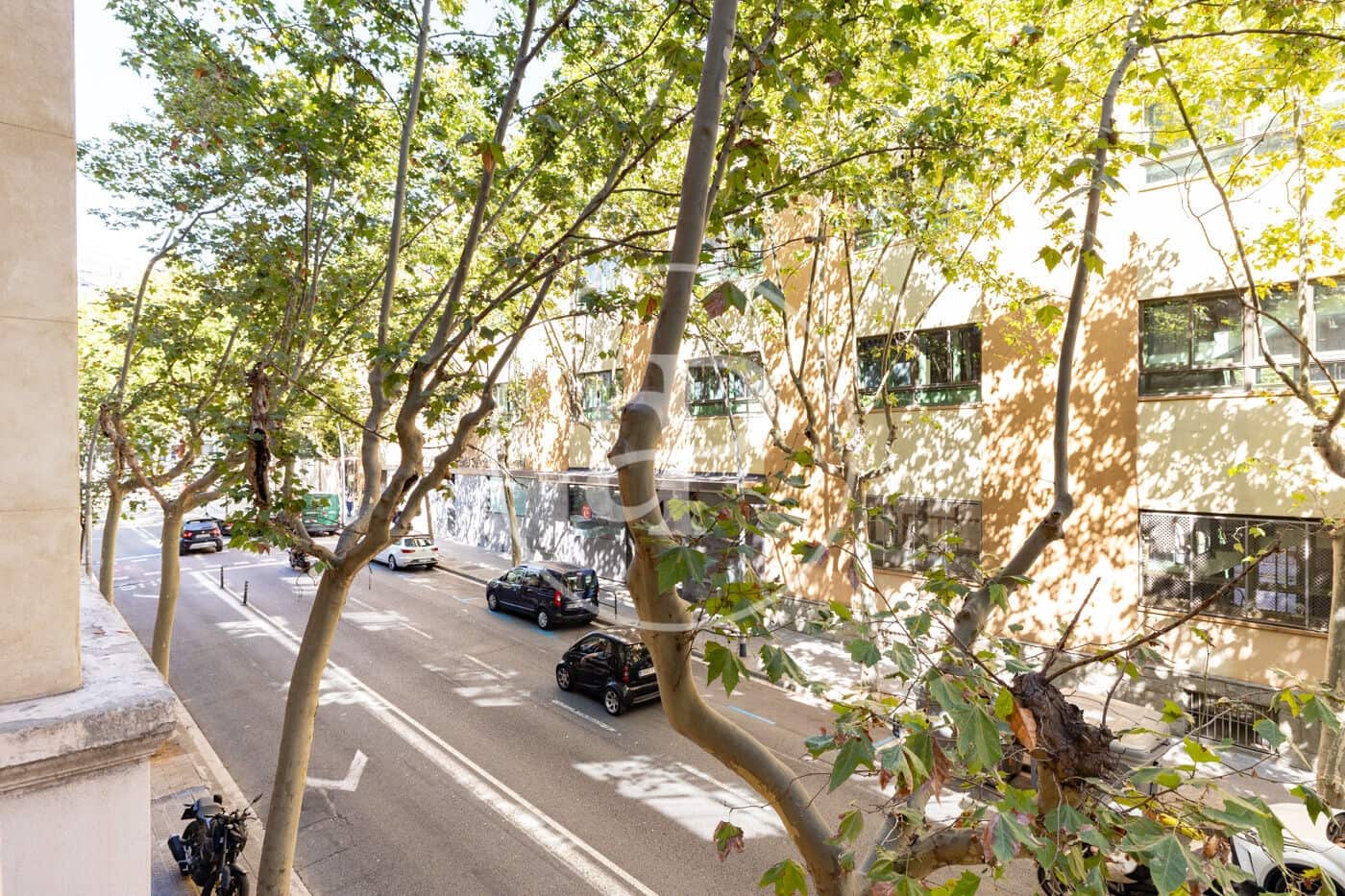 Apartamento de 5 habitaciones en Barcelona ciudad en venta - 1.100.000 € (Ref: 10109618)