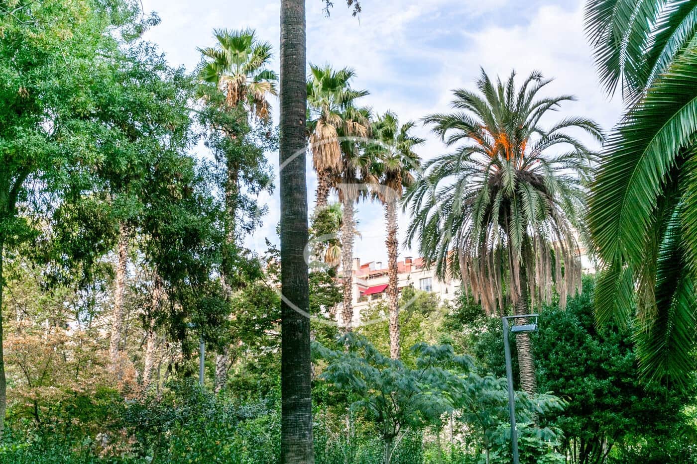 5 quarto Apartamento para arrendar em Barcelona cidade - 2 350 € (Ref: 10131723)