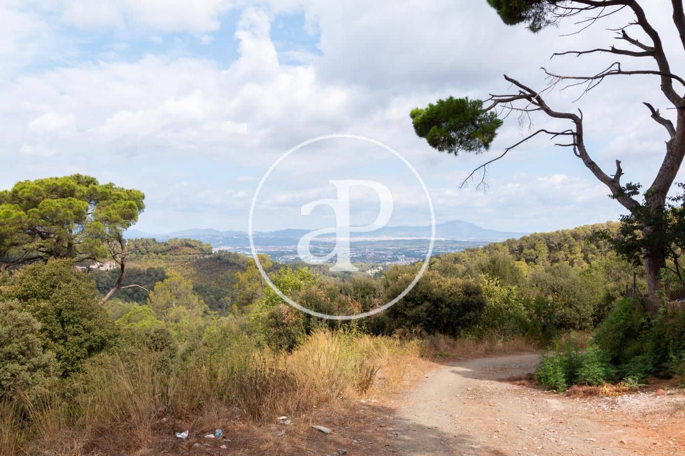 Terre non Aménagée à vendre à Les Planes - 230 000 € (Ref: 7886506)