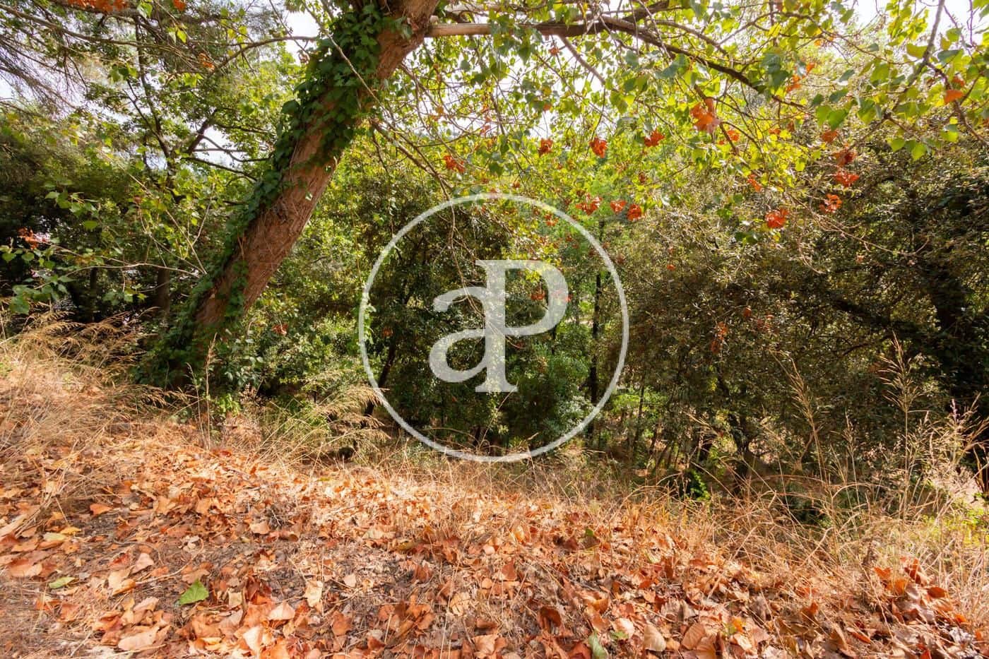 Terre non Aménagée à vendre à Les Planes - 230 000 € (Ref: 7886506)