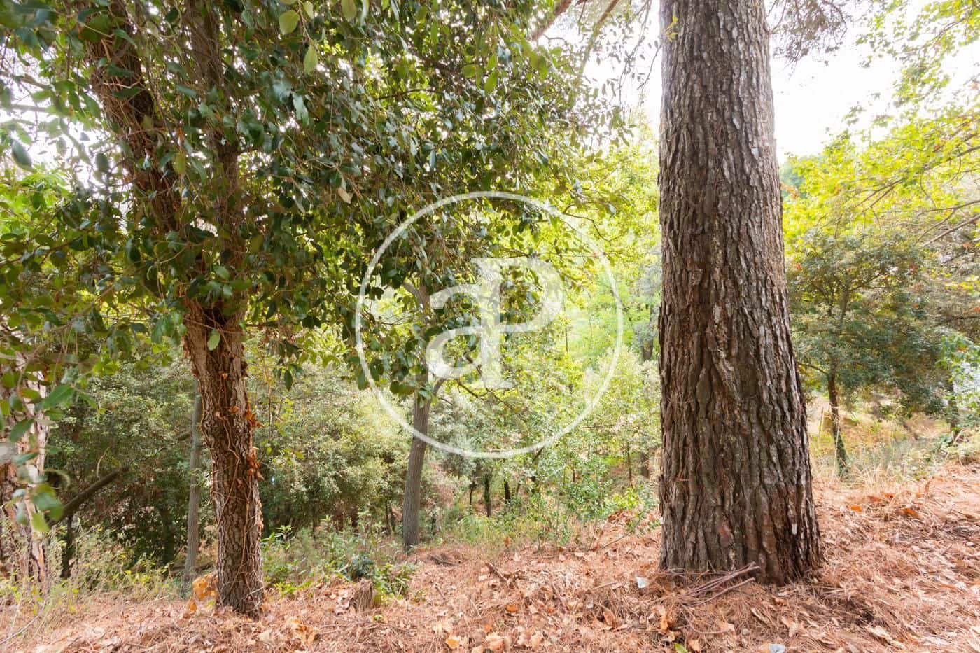 Terre non Aménagée à vendre à Les Planes - 230 000 € (Ref: 7886506)