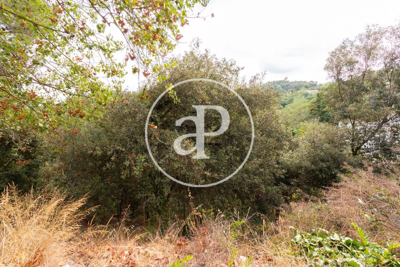 Terre non Aménagée à vendre à Les Planes - 230 000 € (Ref: 7886506)