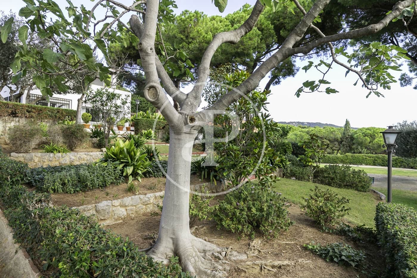 7 soverom Villa til salgs i Sant Andreu de Llavaneres med svømmebasseng - € 1 950 000 (Ref: 7980537)