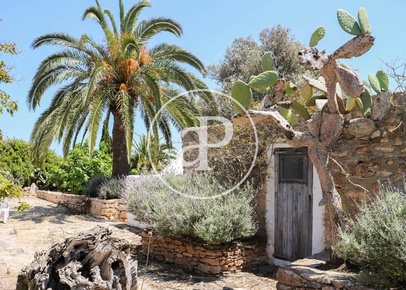 8 soveværelse Villa til salg i Formentera kommune med swimmingpool - € 6.000.000 (Ref: 8285209)