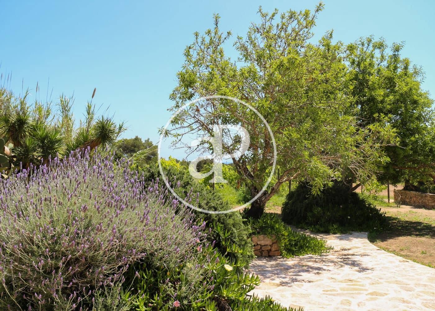 8 soveværelse Villa til salg i Formentera kommune med swimmingpool - € 6.000.000 (Ref: 8285209)