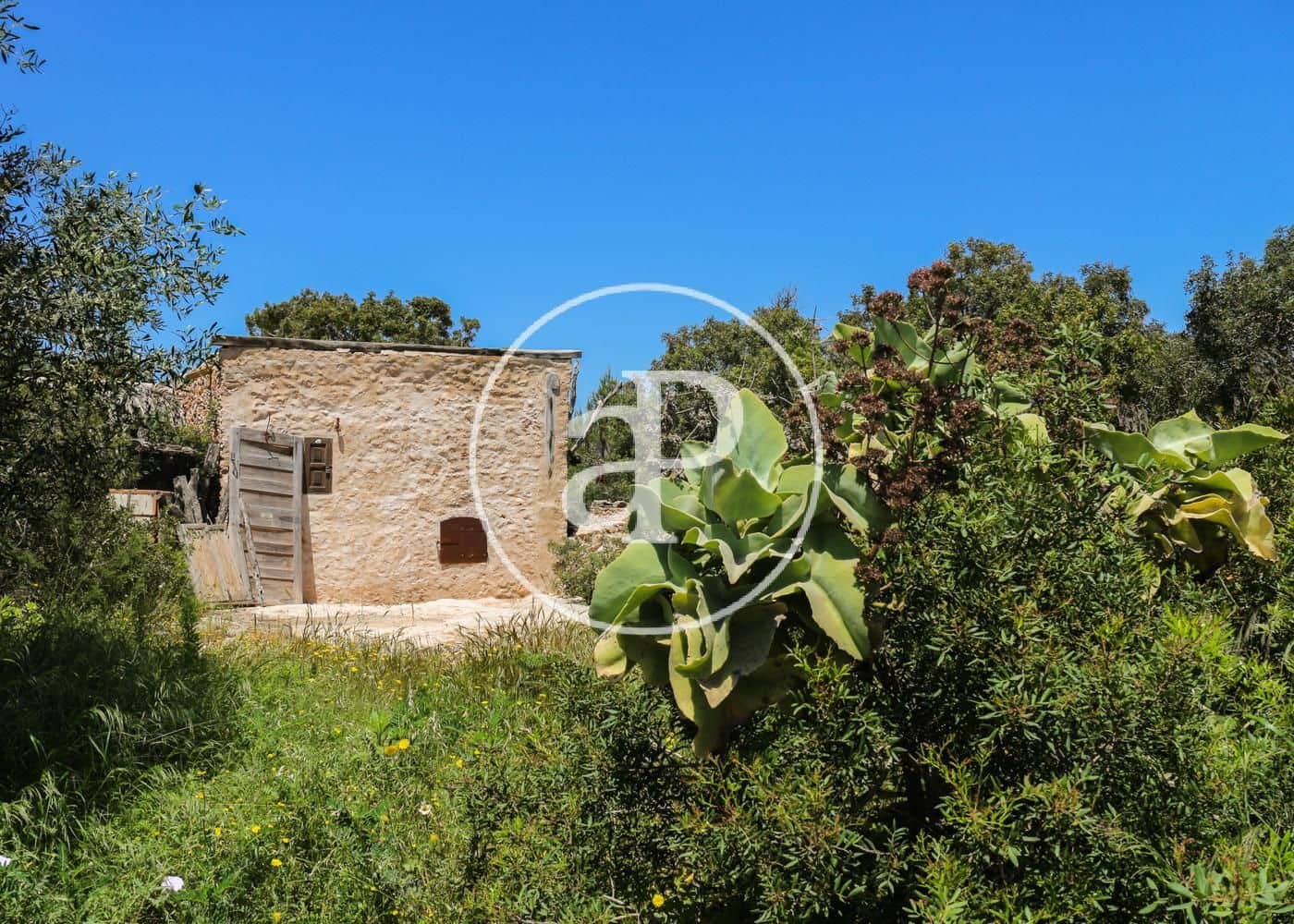 8 soveværelse Villa til salg i Formentera kommune med swimmingpool - € 6.000.000 (Ref: 8285209)