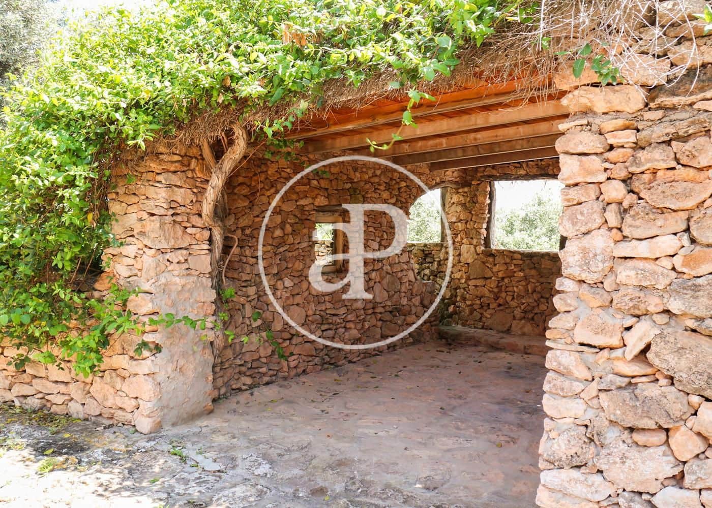 8 soveværelse Villa til salg i Formentera kommune med swimmingpool - € 6.000.000 (Ref: 8285209)