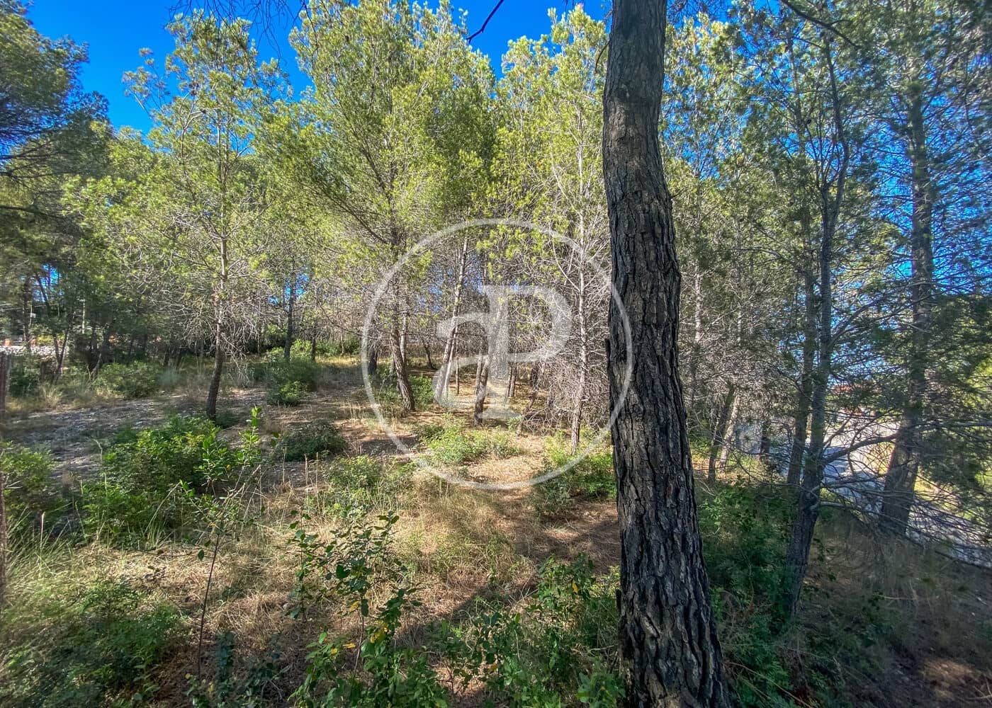 Terreno Não Urbanizado para venda em Rubi - 285 000 € (Ref: 8640202)