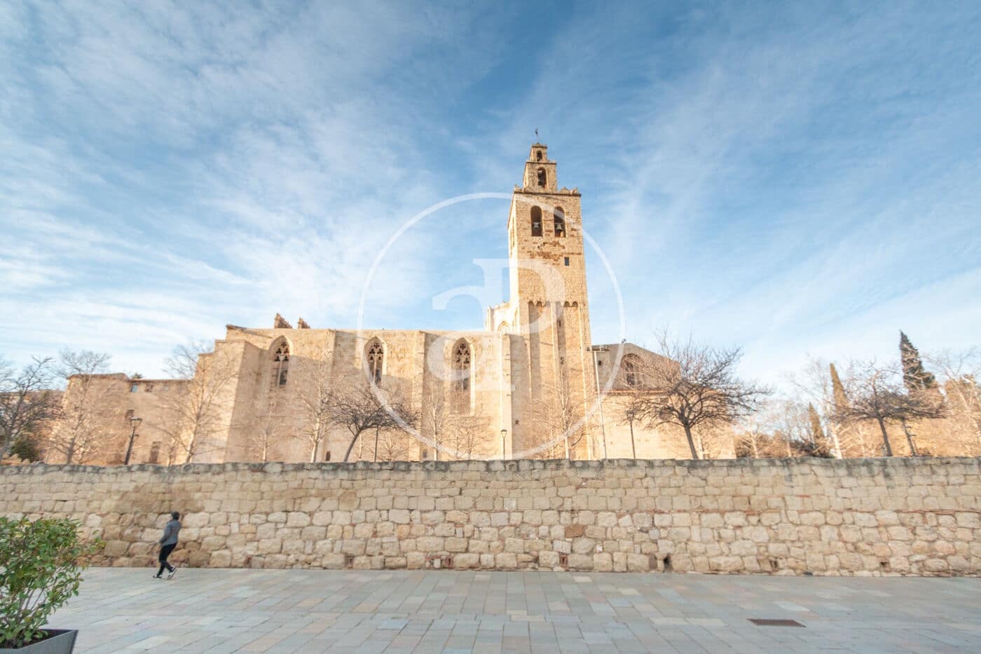 Mark till salu i Les Planes - 250 000 € (Ref: 8653404)