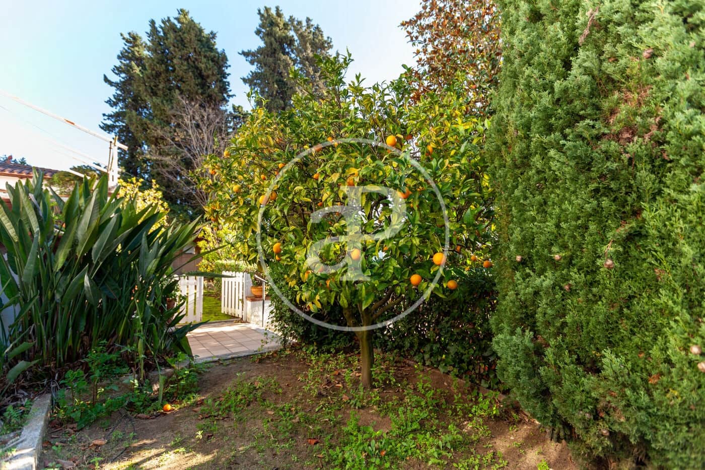 6 soveværelse Villa til salg i Orrius med swimmingpool - € 1.300.000 (Ref: 8687164)