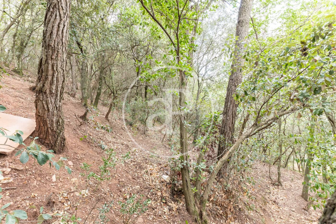 Grond te koop in Matadepera - € 195.000 (Ref: 8725177)