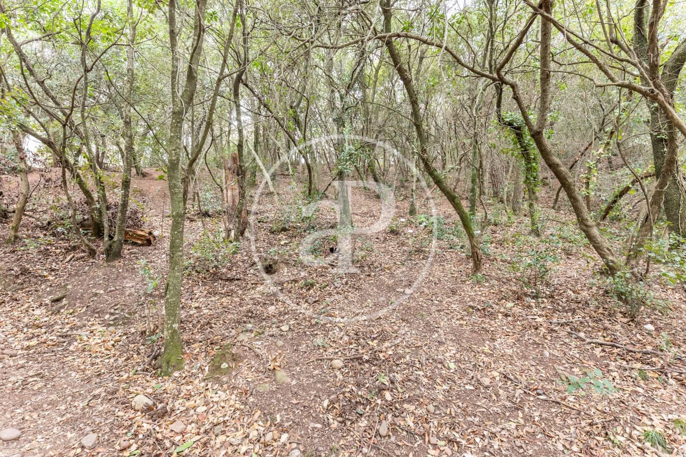 Grond te koop in Matadepera - € 195.000 (Ref: 8725177)