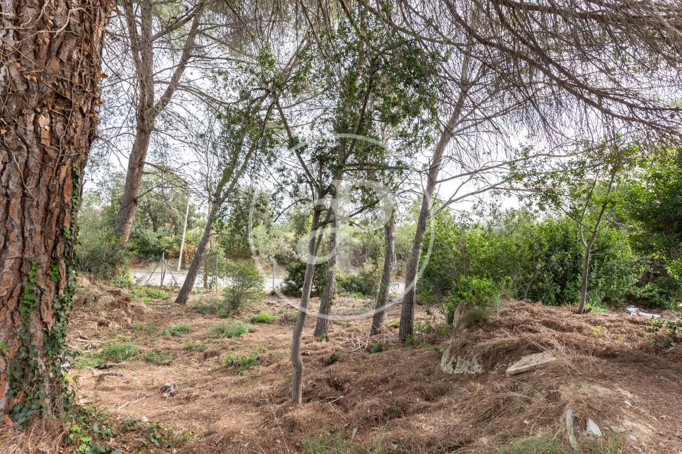 Grunde uden byggetilladelser til salg i Bellaterra - € 740.000 (Ref: 8725181)