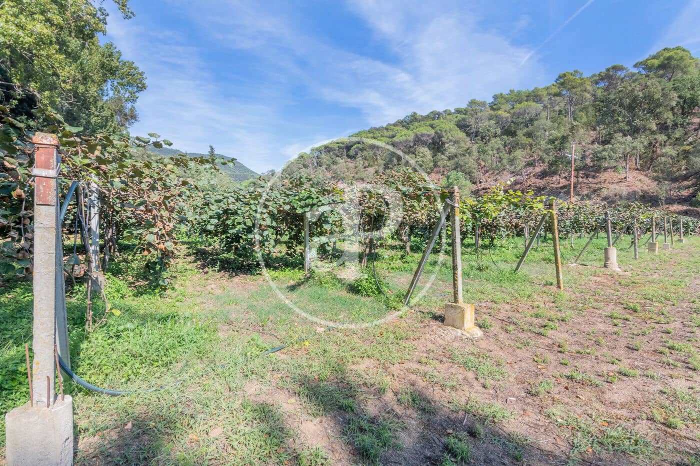 6 makuuhuone Maalaistalo myytävänä paikassa Sant Andreu de Llavaneres - 1 975 000 € (Ref: 8855040)