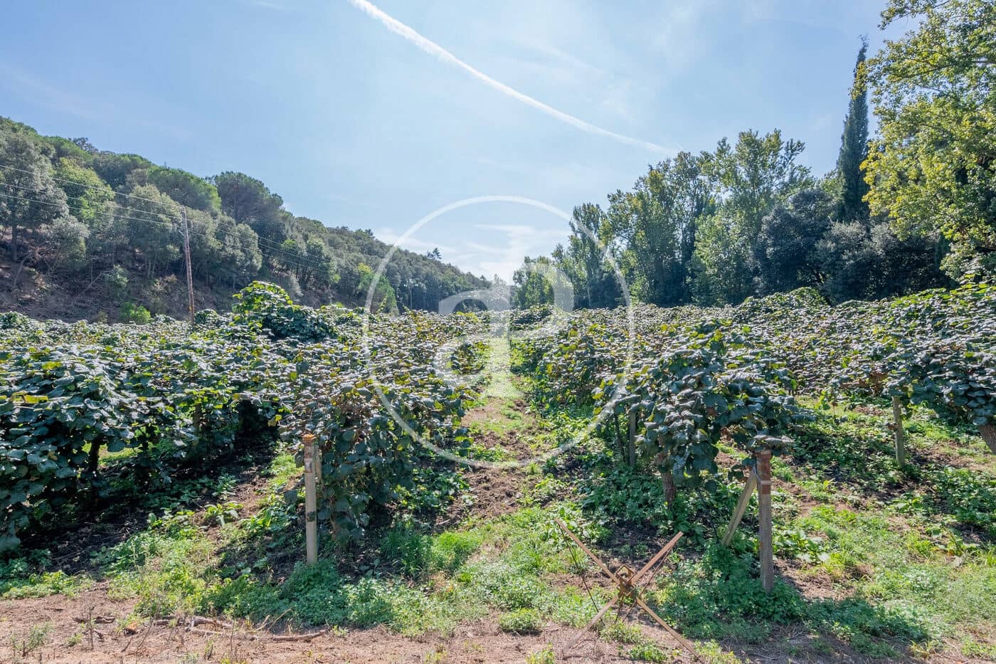 6 makuuhuone Maalaistalo myytävänä paikassa Sant Andreu de Llavaneres - 1 975 000 € (Ref: 8855040)