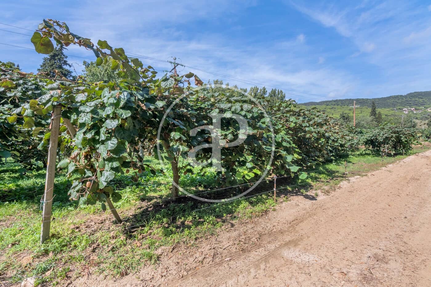 6 makuuhuone Maalaistalo myytävänä paikassa Sant Andreu de Llavaneres - 1 975 000 € (Ref: 8855040)