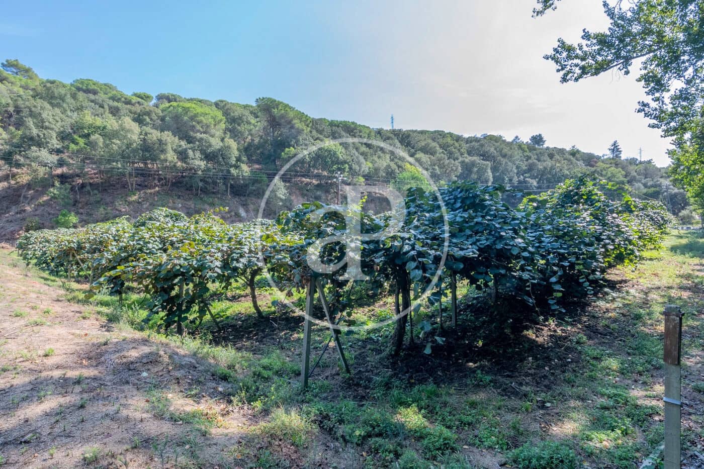 6 makuuhuone Maalaistalo myytävänä paikassa Sant Andreu de Llavaneres - 1 975 000 € (Ref: 8855040)