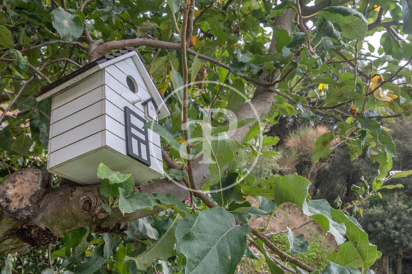 6 makuuhuone Maalaistalo myytävänä paikassa Sant Andreu de Llavaneres - 1 975 000 € (Ref: 8855040)