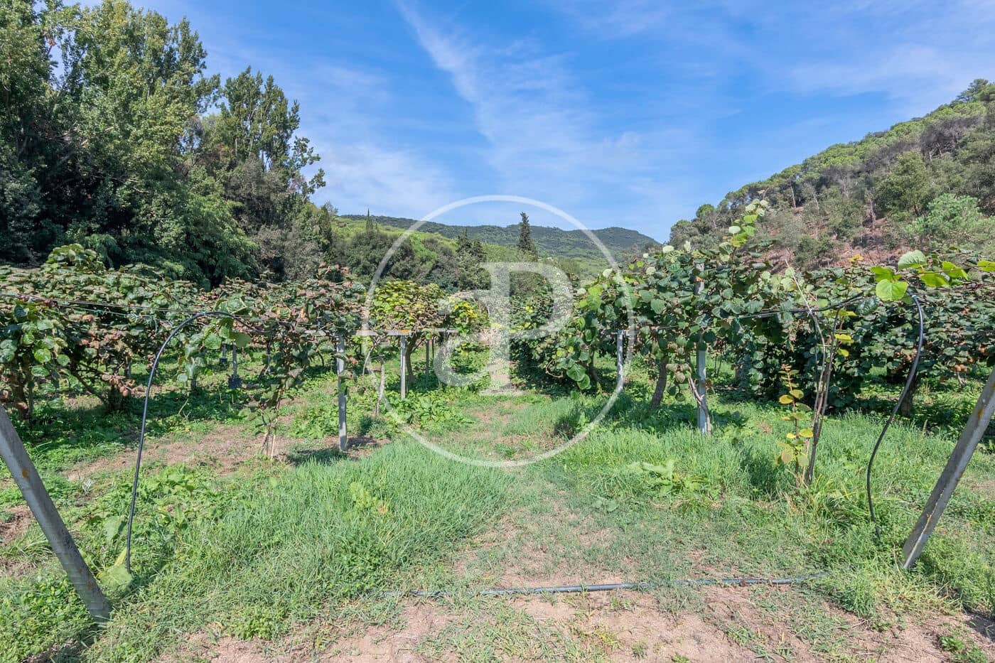 6 makuuhuone Maalaistalo myytävänä paikassa Sant Andreu de Llavaneres - 1 975 000 € (Ref: 8855040)