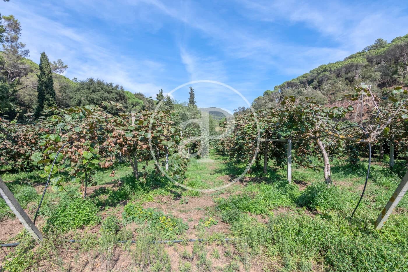 6 makuuhuone Maalaistalo myytävänä paikassa Sant Andreu de Llavaneres - 1 975 000 € (Ref: 8855040)