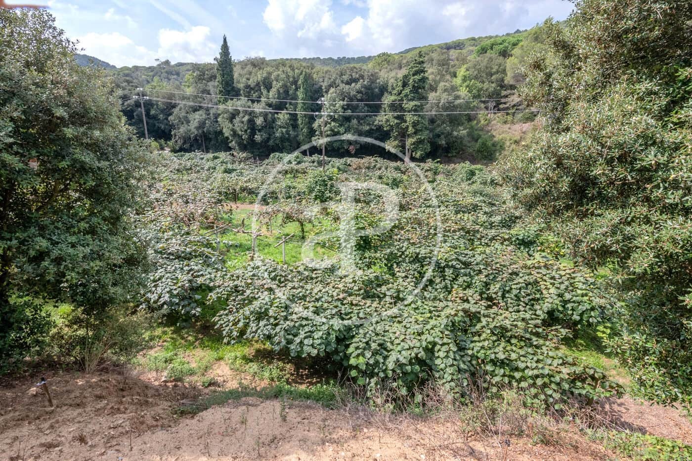 6 makuuhuone Maalaistalo myytävänä paikassa Sant Andreu de Llavaneres - 1 975 000 € (Ref: 8855040)