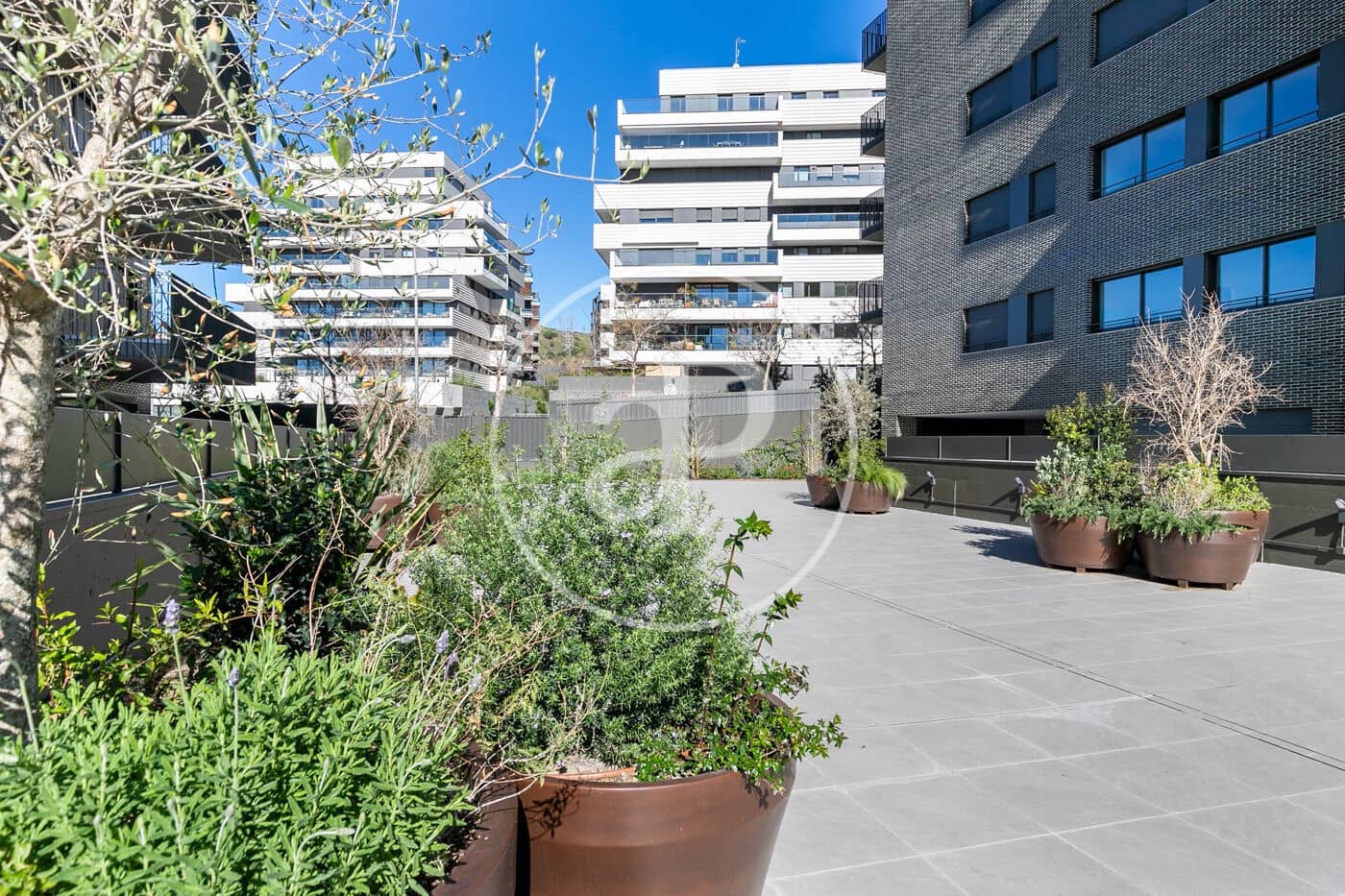 4 bedroom Apartment for rent in Esplugues de Llobregat with pool - € 3,700 (Ref: 8905665)