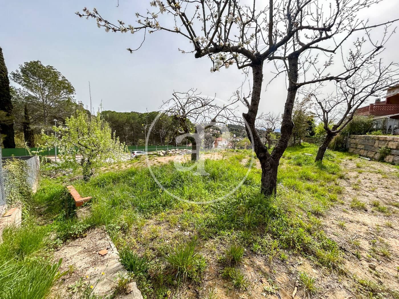 Teren niezagospodarowany na sprzedaż w Rubi - 228 000 € (Ref: 8926926)