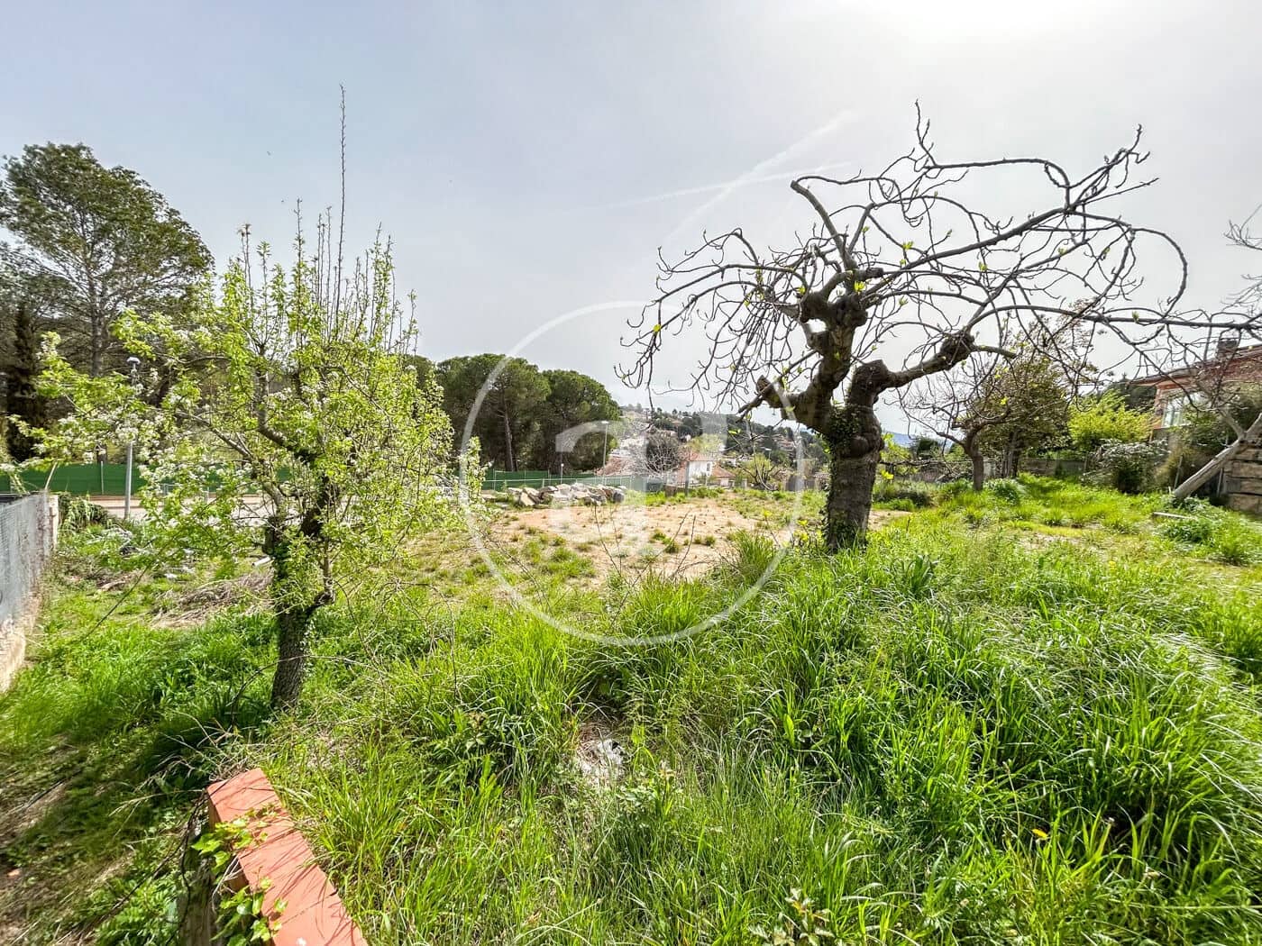 Teren niezagospodarowany na sprzedaż w Rubi - 228 000 € (Ref: 8926926)