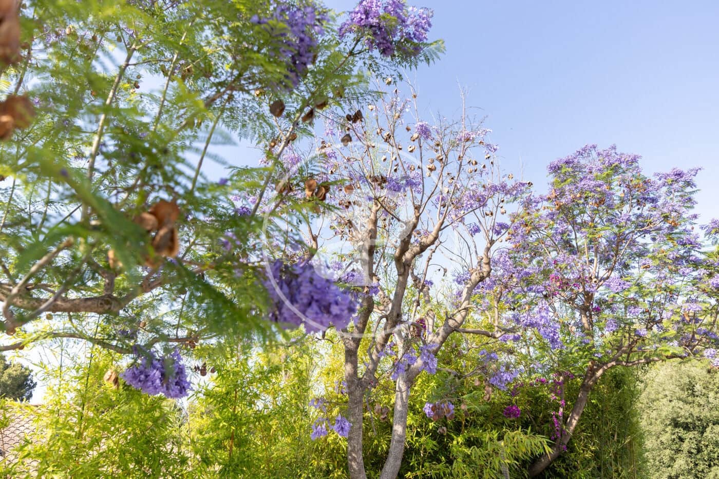 6 soverom Villa til salgs i Teia med svømmebasseng - € 2 600 000 (Ref: 9075042)