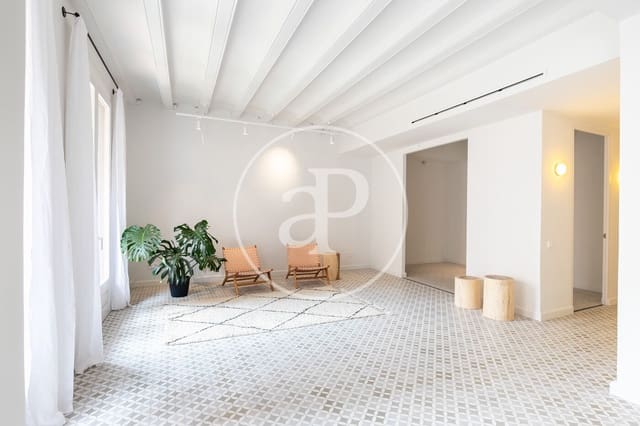 3 makuuhuone Huoneisto myytävänä paikassa Sant Pere, Santa Caterina i La Ribera, Barcelona kaupunki - 745 000 € (Ref: 9095480)