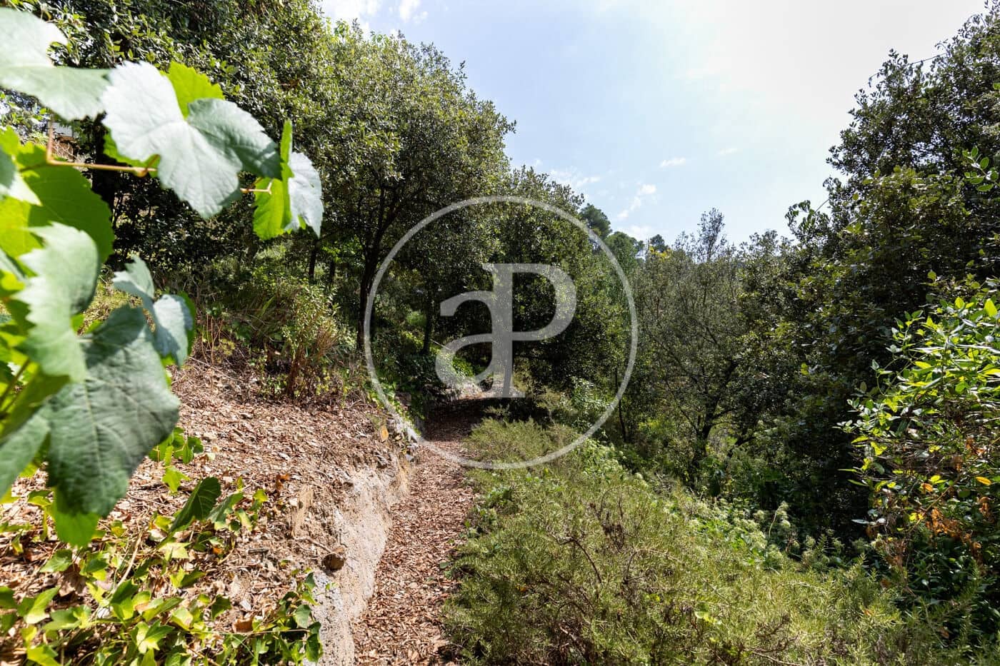 3 soveværelse Villa til salg i La Floresta med swimmingpool - € 2.450.000 (Ref: 9192564)