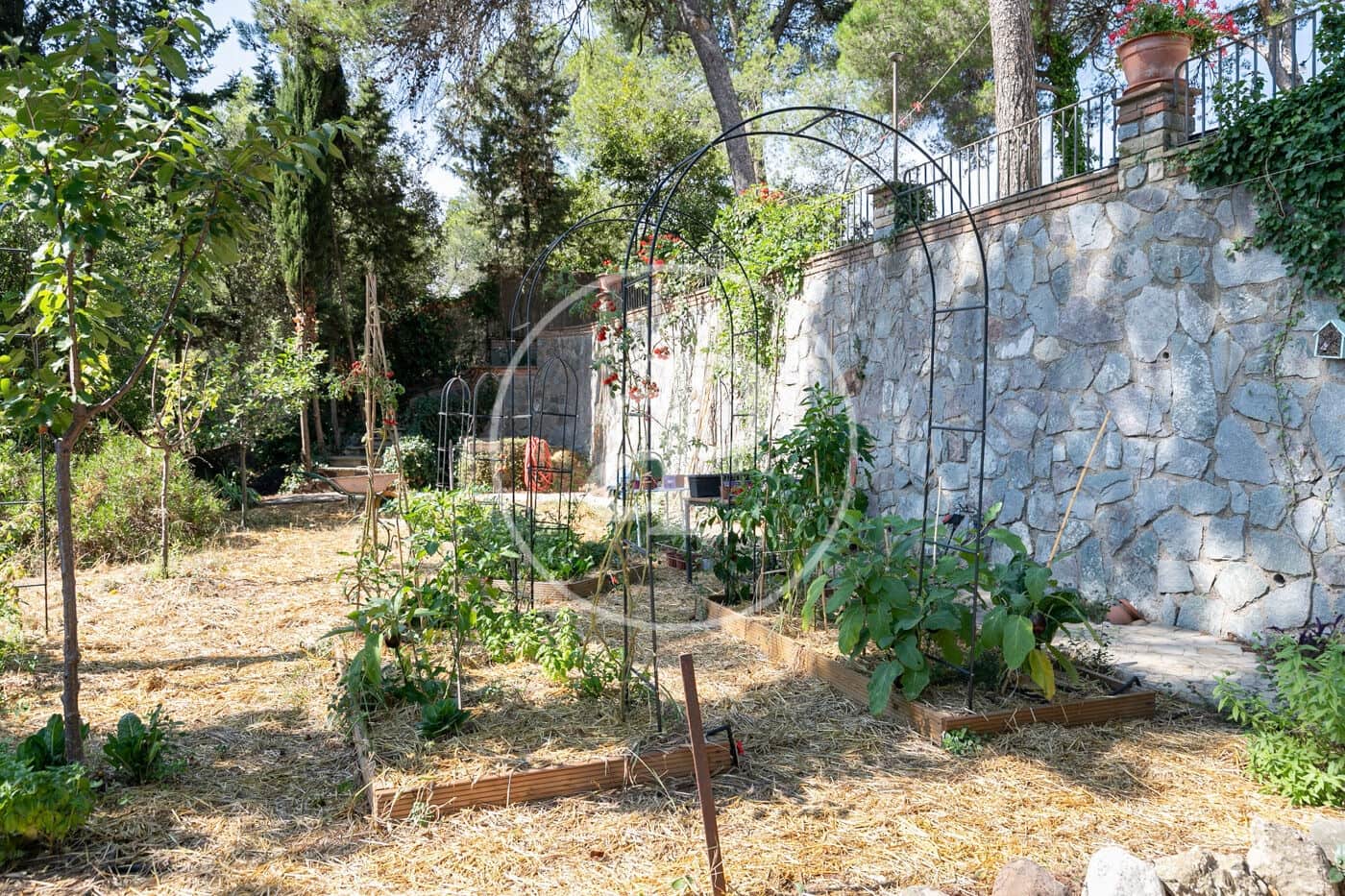 6 soveværelse Villa til salg i La Floresta - € 1.490.000 (Ref: 9217731)