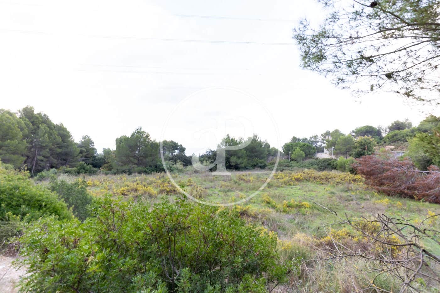 Grond te koop in Rubi - € 830.000 (Ref: 9330620)